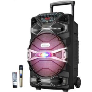 დინამიკი BDH1A1618AK