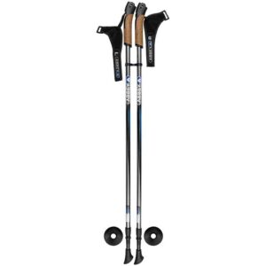 ჰაიკინგის ჯოხები Abbey 21SR ZZB Silver grey/Black/Blue