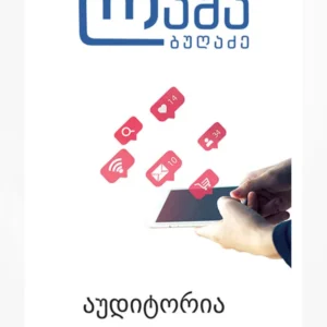 აუდიტორია