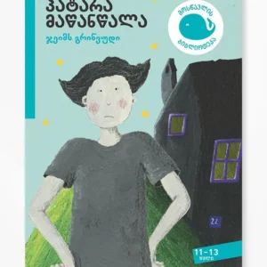 პატარა მაწანწალა