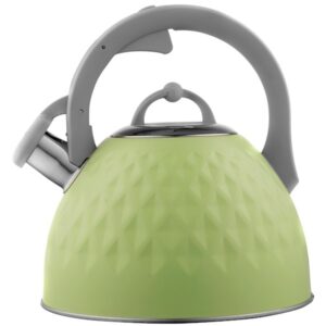 ჩაიდანი KETTLE ARDESTO (2.5 ლ) AR1947KG