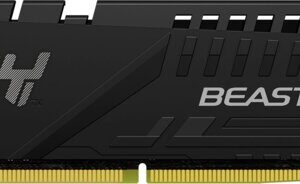8G D5-6000C36 EXPO Beast