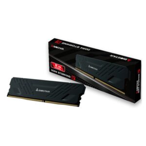 Biostar DRAM,DRAM Heatsink Storming V 8GB DDR4